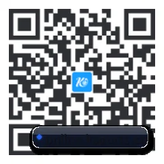 系统版 iOS 二维码